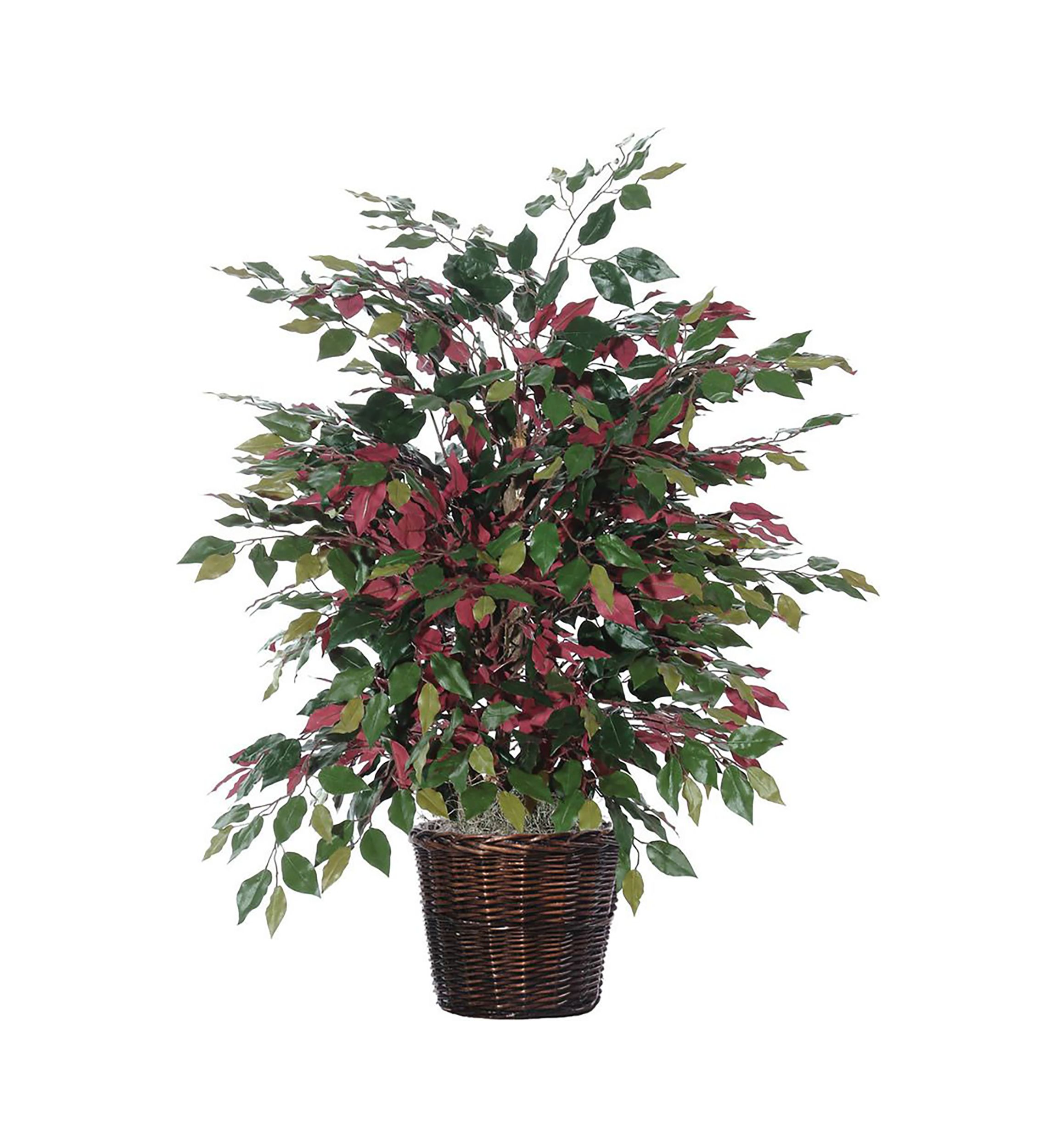 Artificial Capensia Extra Full Bush, Rattan Basket
