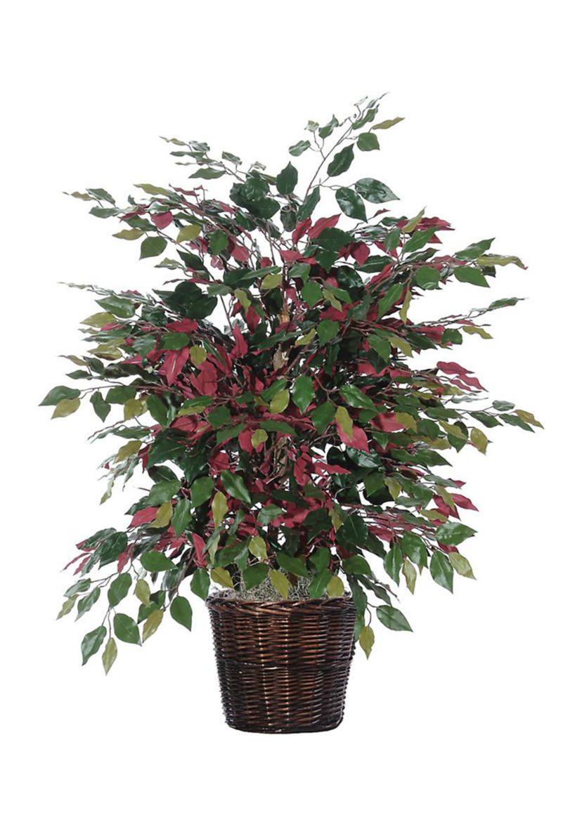 Artificial Capensia Extra Full Bush, Rattan Basket