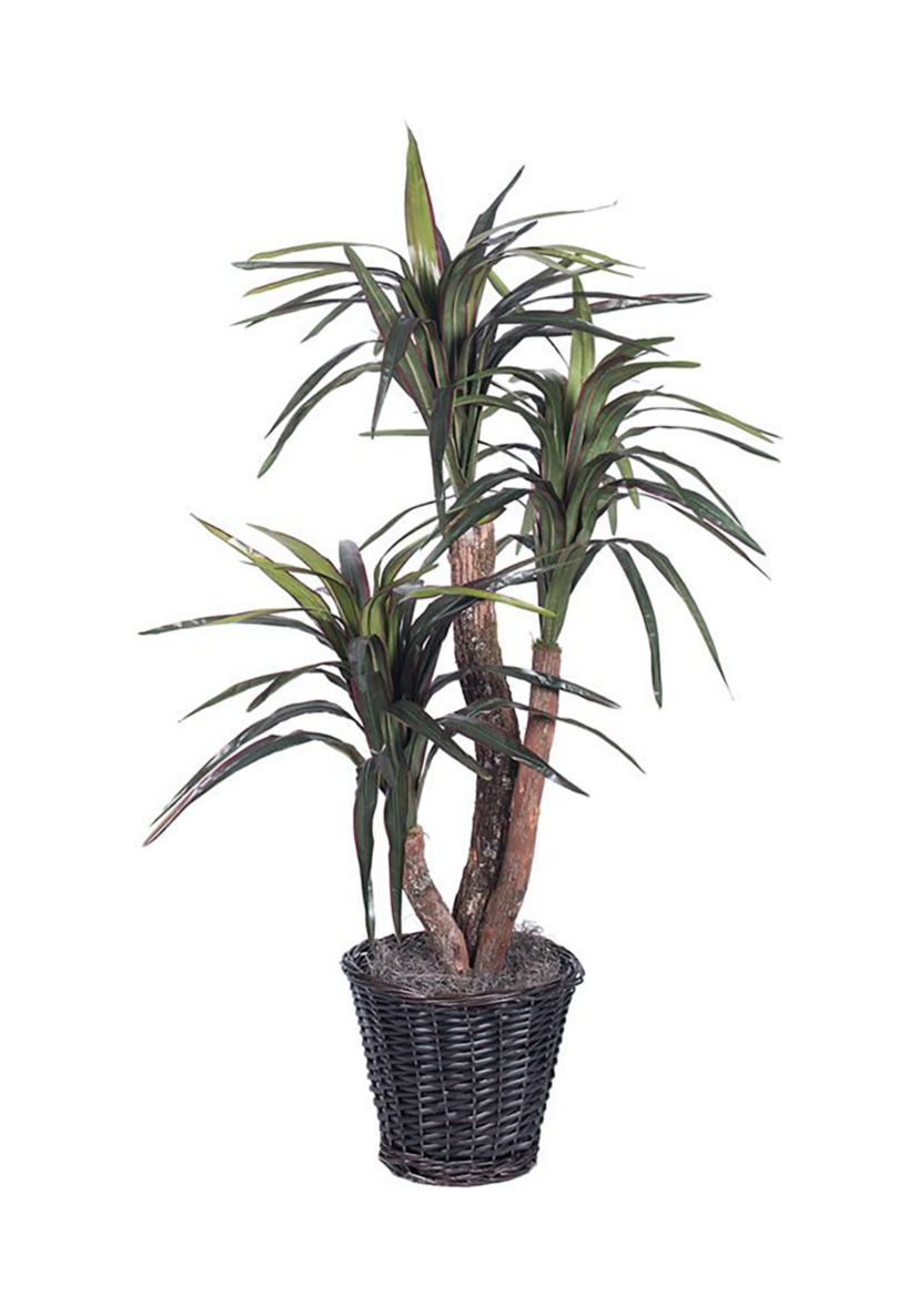 Artificial Marginata Extra Full Bush, Rattan Basket