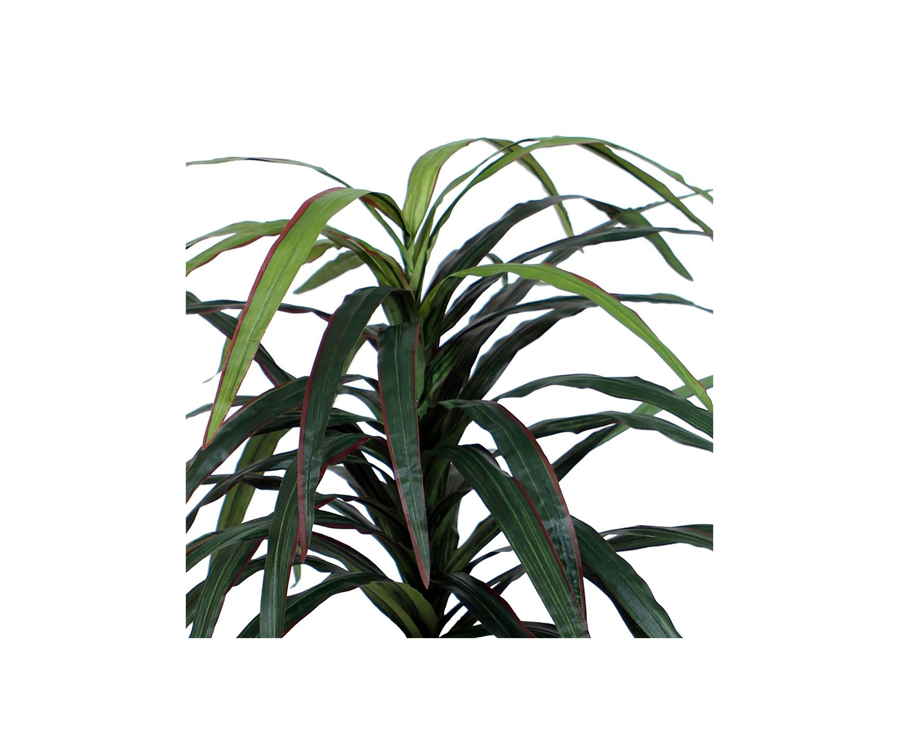 Artificial Marginata Extra Full Bush, Rattan Basket