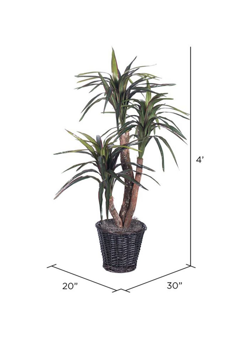 Artificial Marginata Extra Full Bush, Rattan Basket