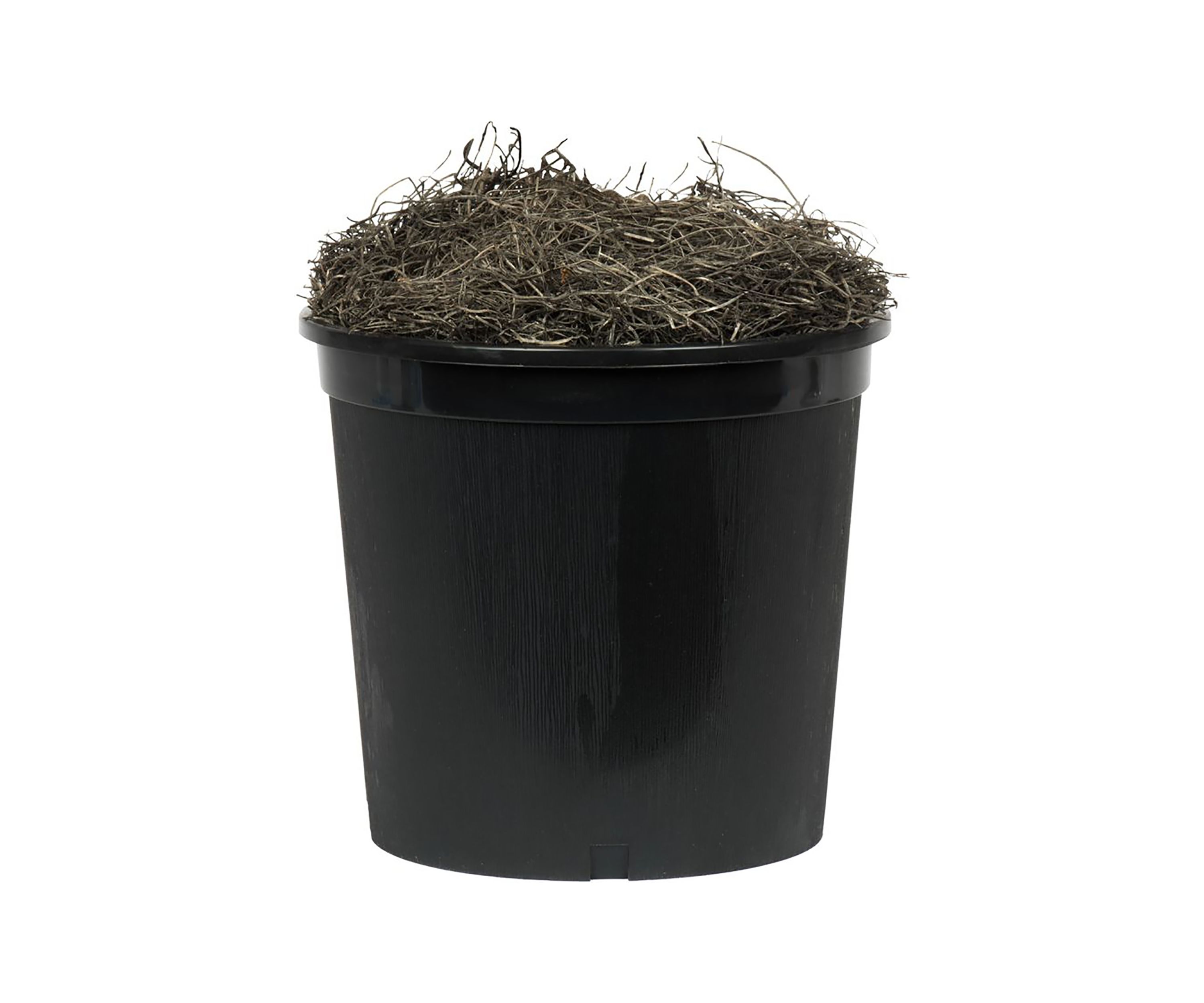Artificial Smilax Extra Full Bush, Plastic Pot.