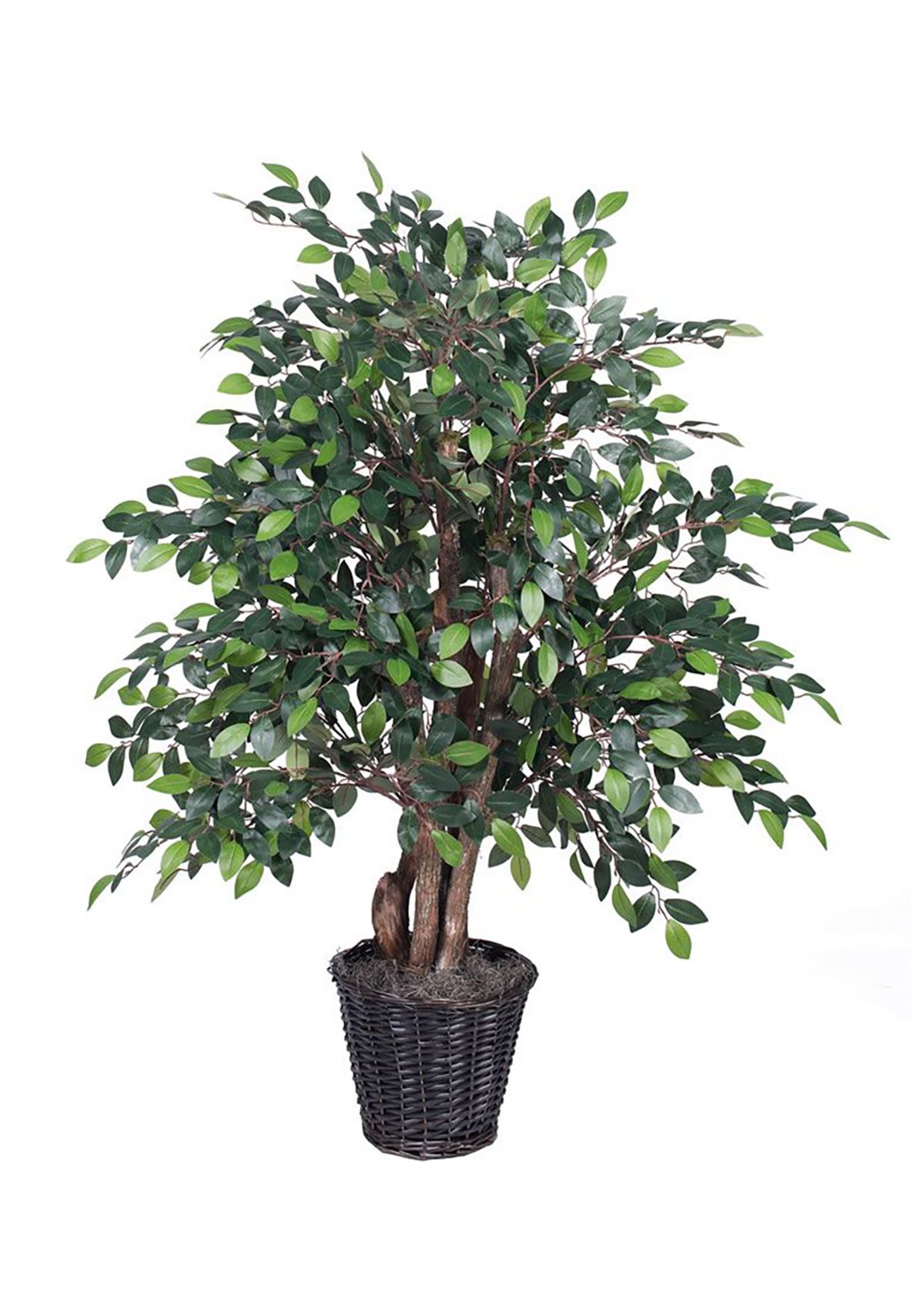 Artificial Mini Ficus Extra Full Bush, Rattan Basket