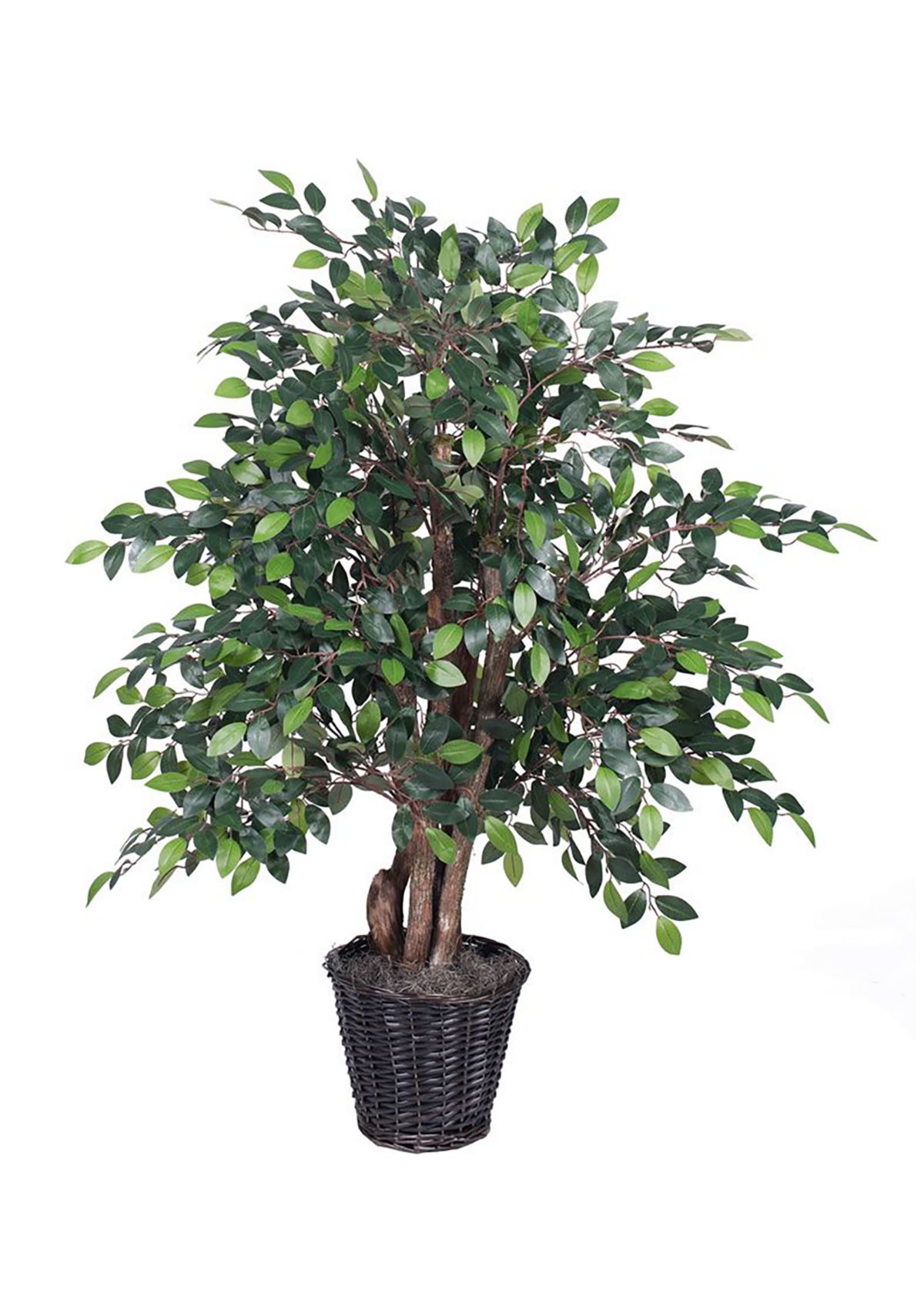 Artificial Mini Ficus Extra Full Bush, Rattan Basket