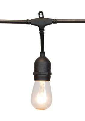 Vickerman Patio Light Set