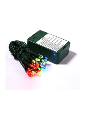 Vickerman LED Light Set