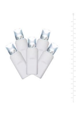 Vickerman LED Curtain Lights