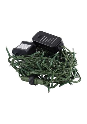 Vickerman LED Spider Light Set