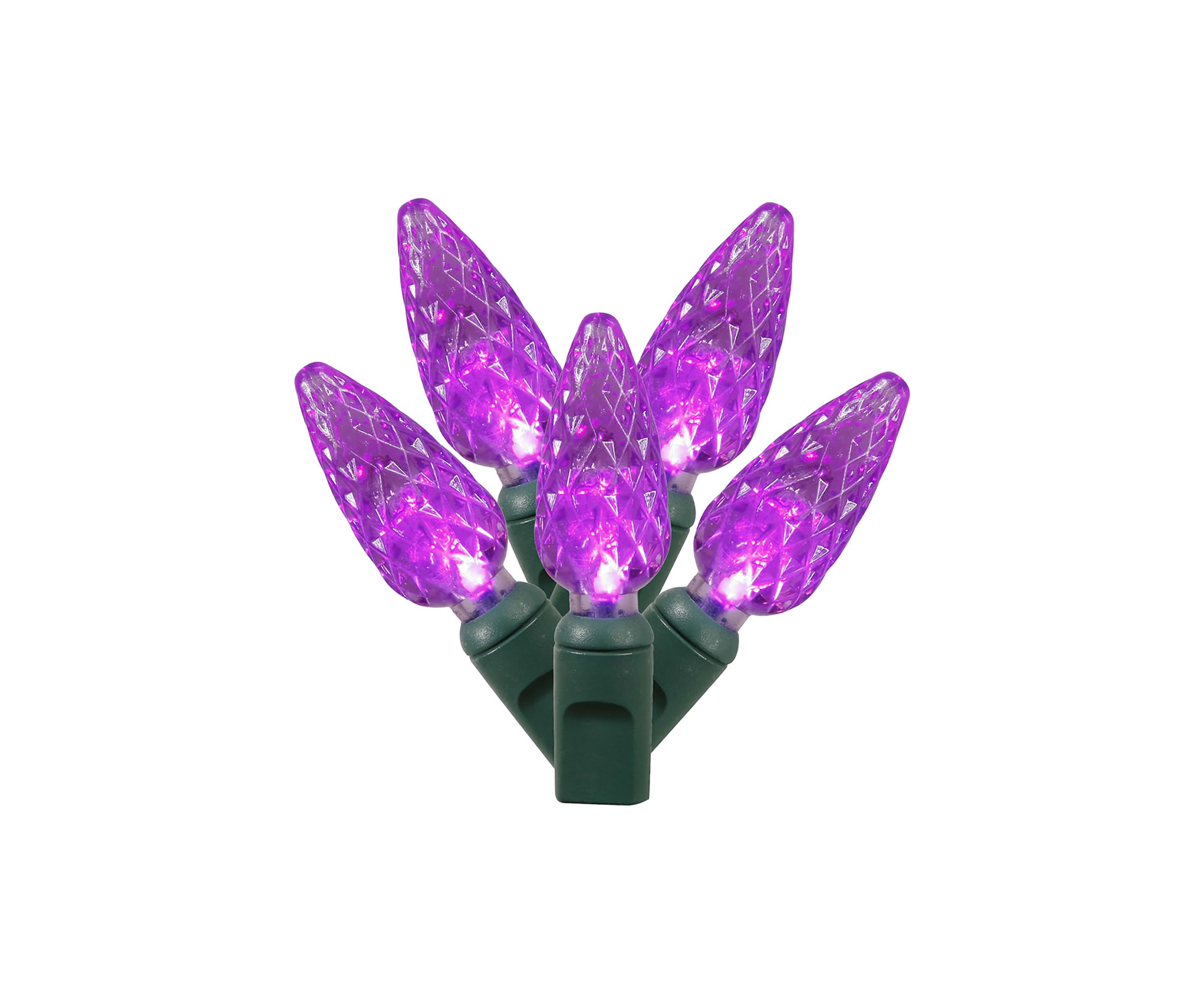 LED Light Set