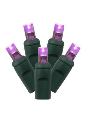 Vickerman LED Light Set