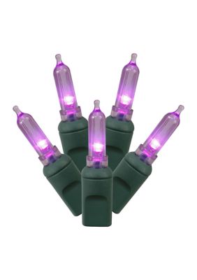 Vickerman 50 Multi-Colored Italian LED Light on Green Wire, 25' Christmas Single Mold Light Strand, Purple