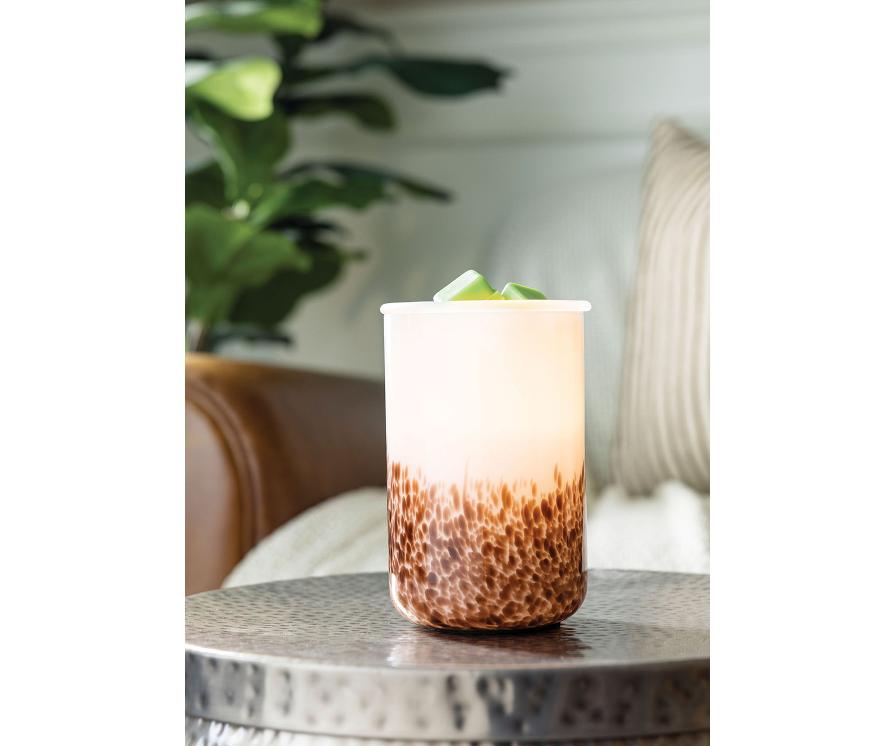 Illumination Tiger Shell Fragrance Warmer