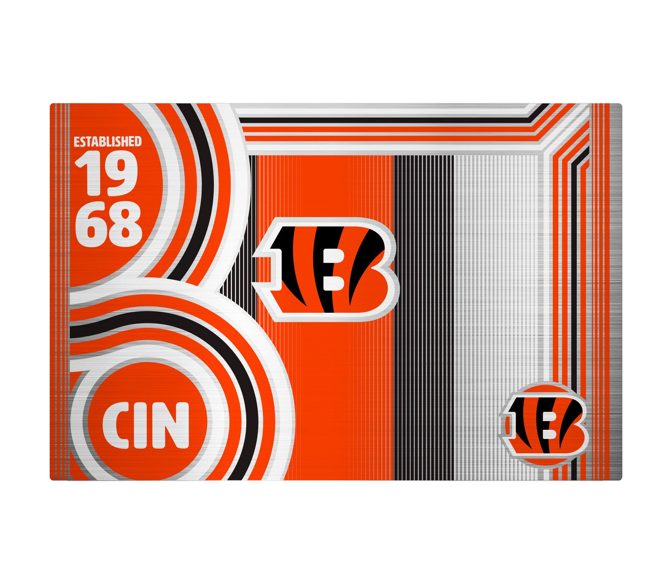 NFL Cincinnati Bengals 24oz Stainless Steel Water Bottle