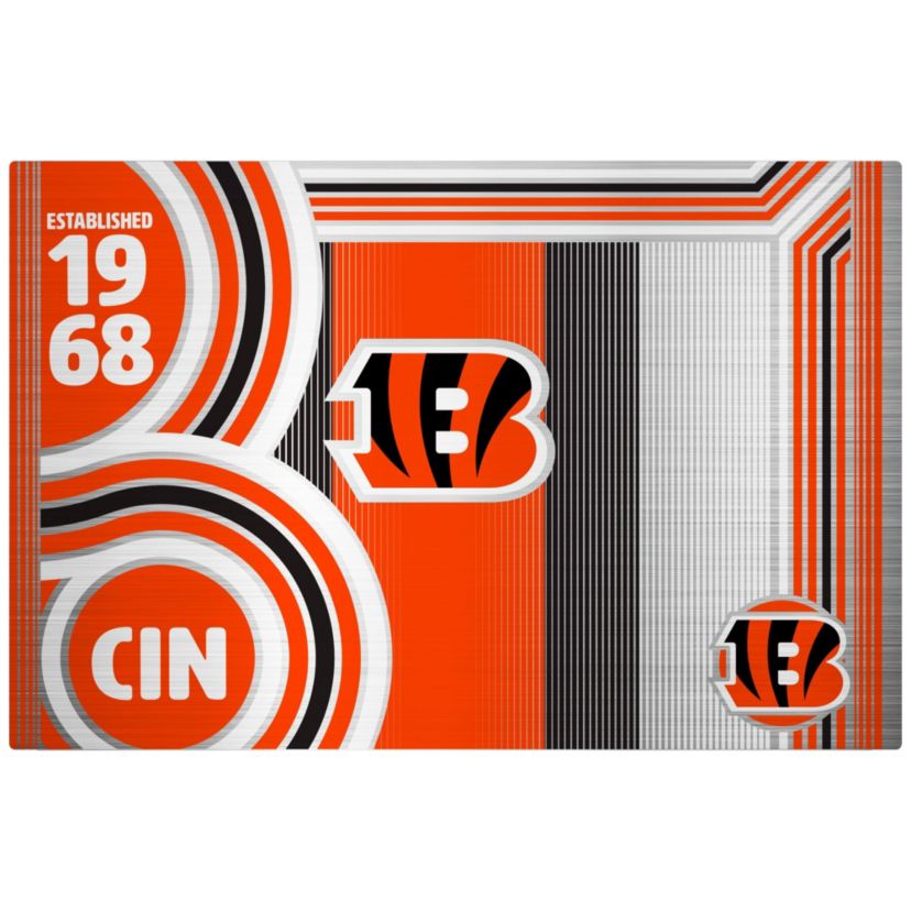 NFL Cincinnati Bengals 24oz Stainless Steel Water Bottle