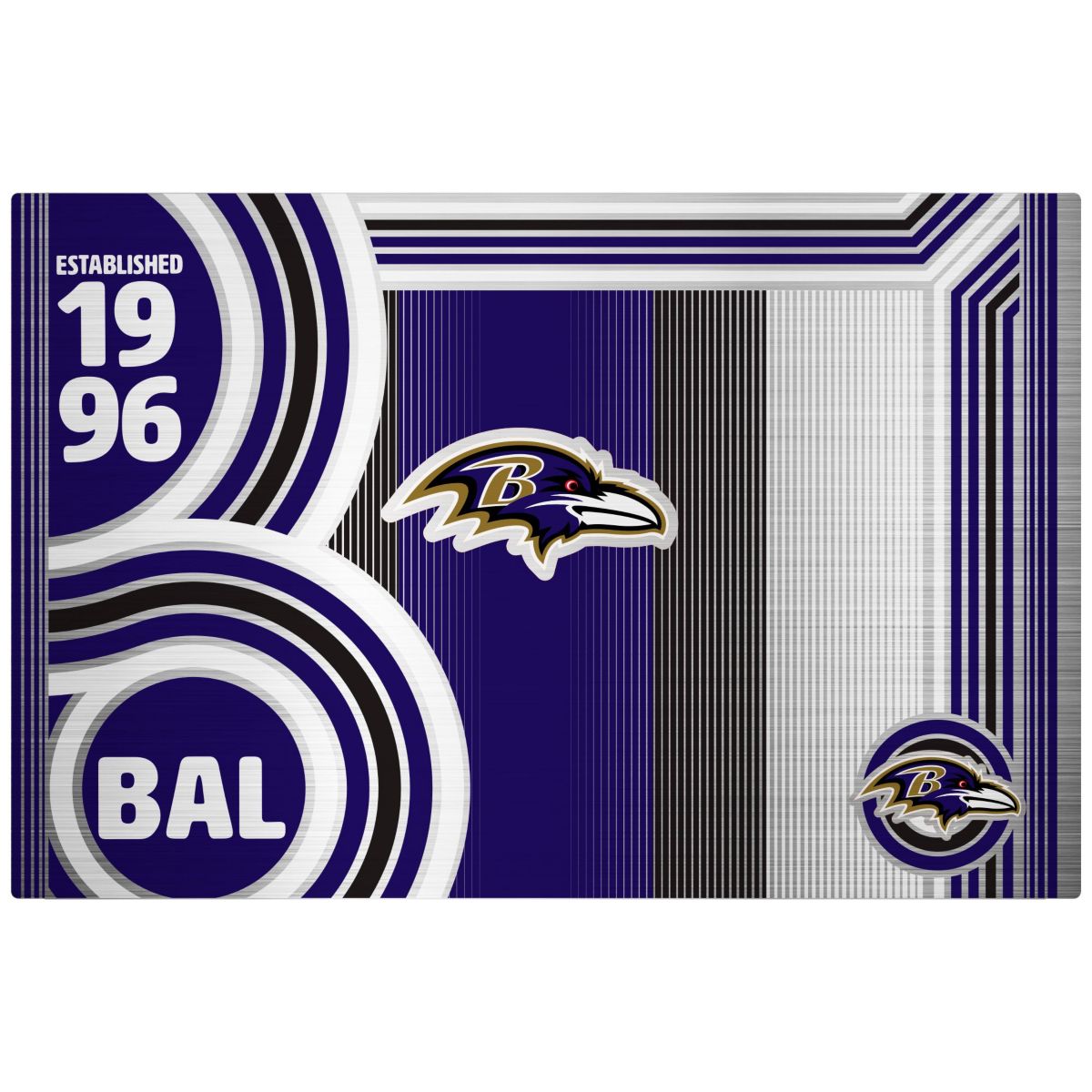 NFL Baltimore Ravens 24oz Stainless Steel Water Bottle