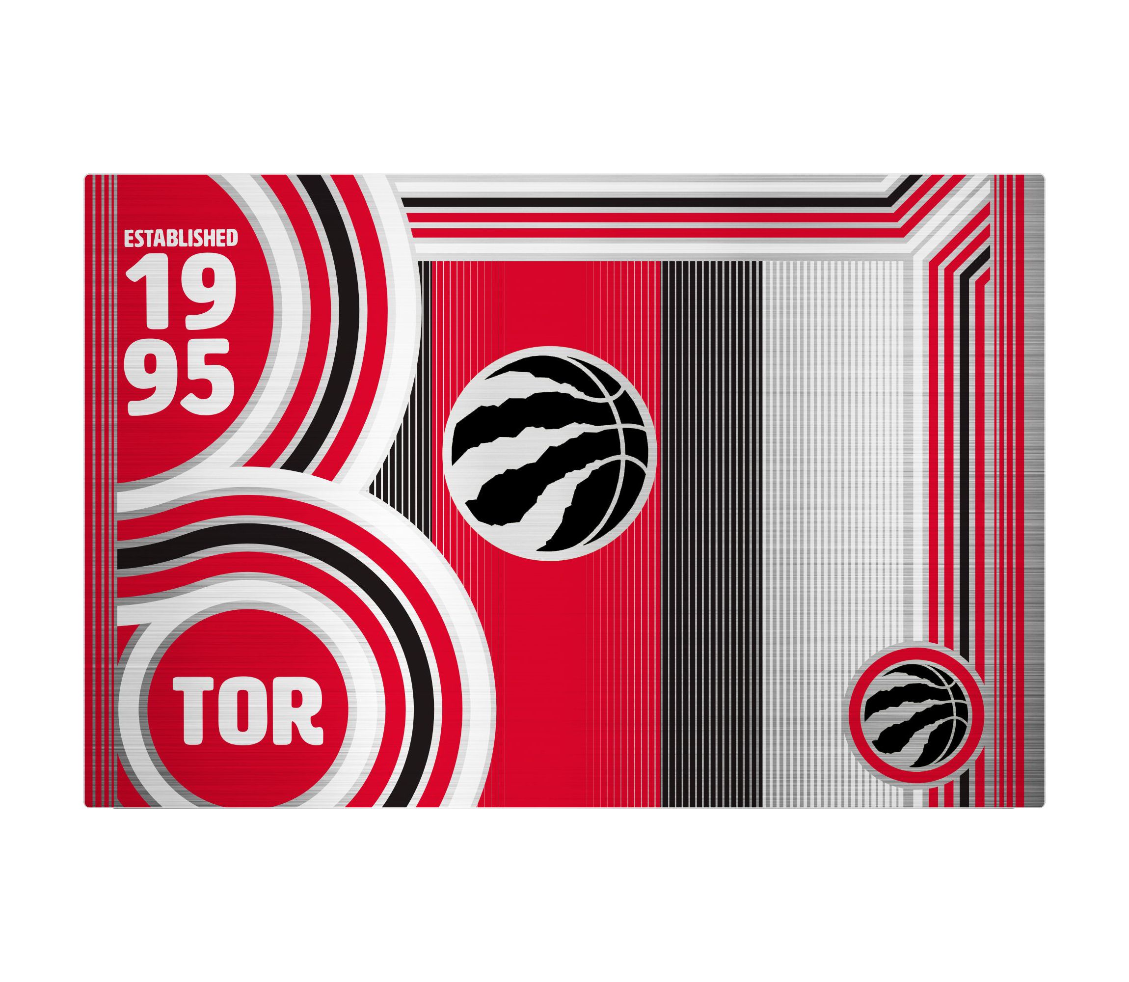 NBA Toronto Raptors 24oz Stainless Steel Water Bottle