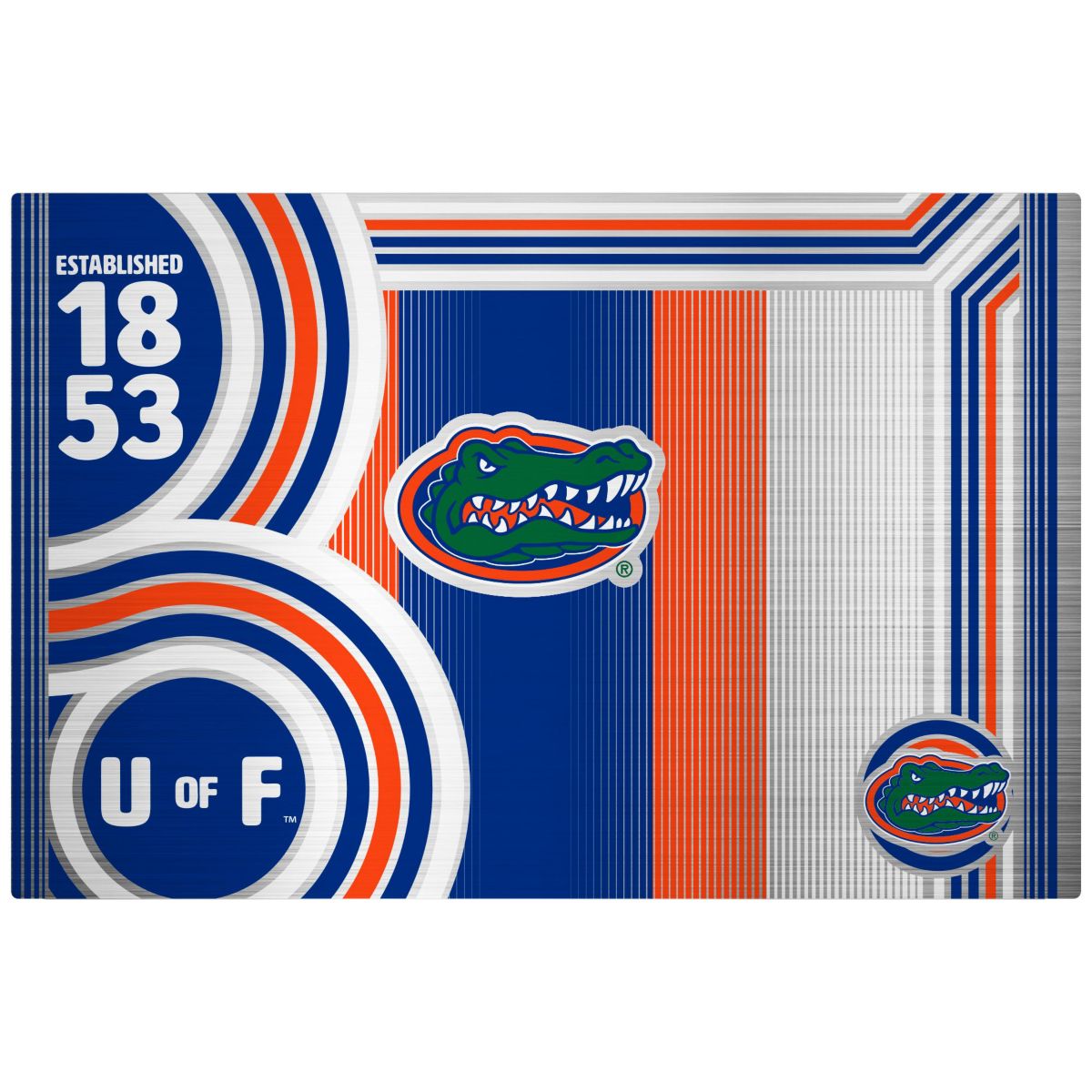 NCAA Florida Gators 24oz Stainless Steel Water Bottle