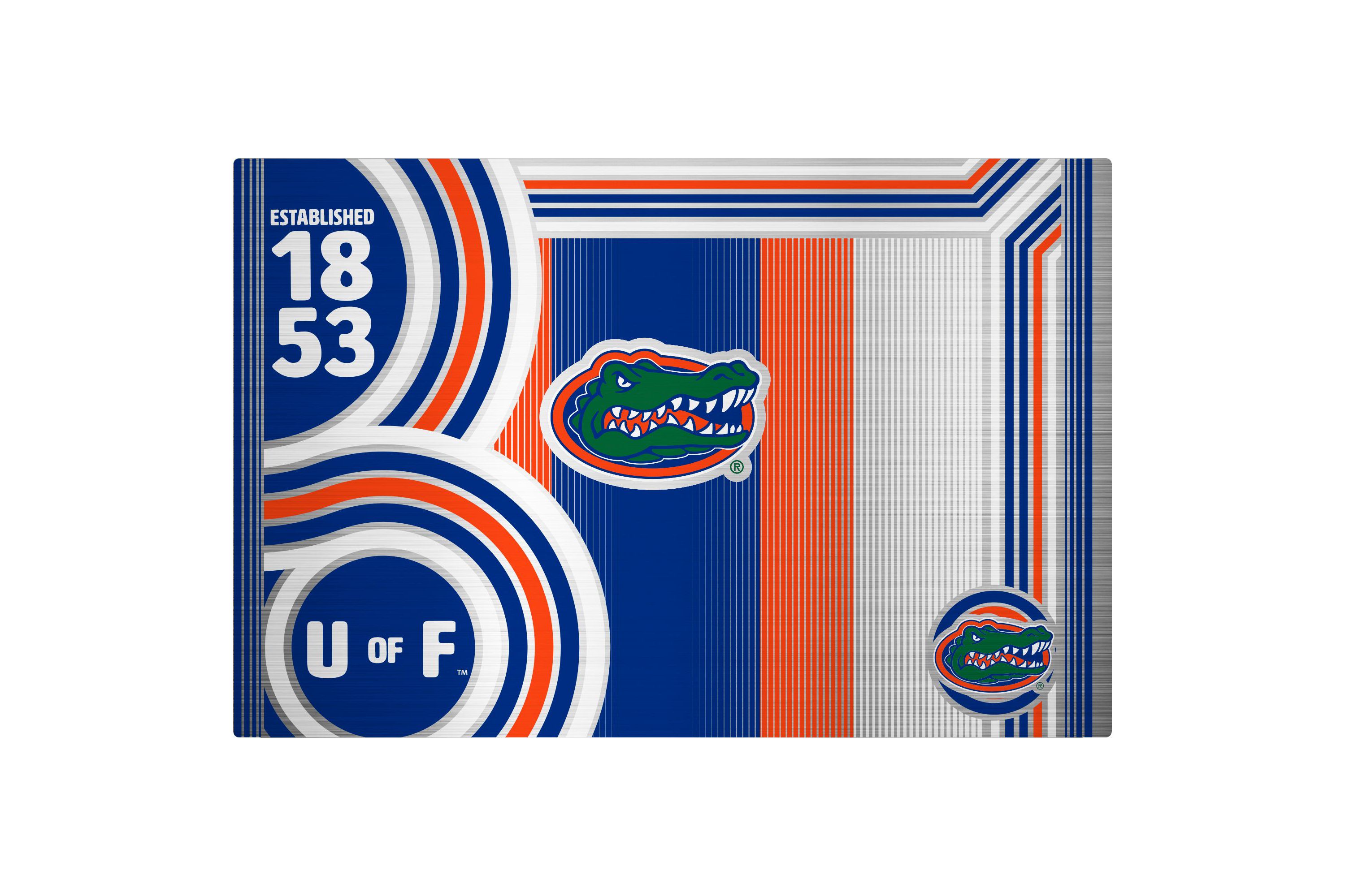 NCAA Florida Gators 24oz Stainless Steel Water Bottle