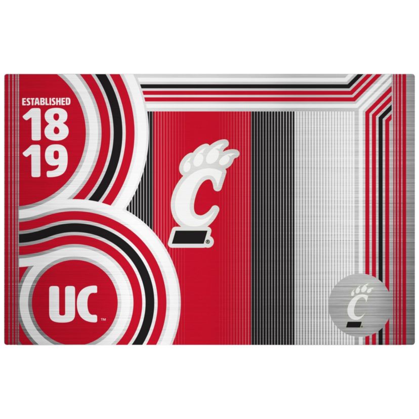 NCAA Cincinnati Bearcats 24oz Stainless Steel Water Bottle
