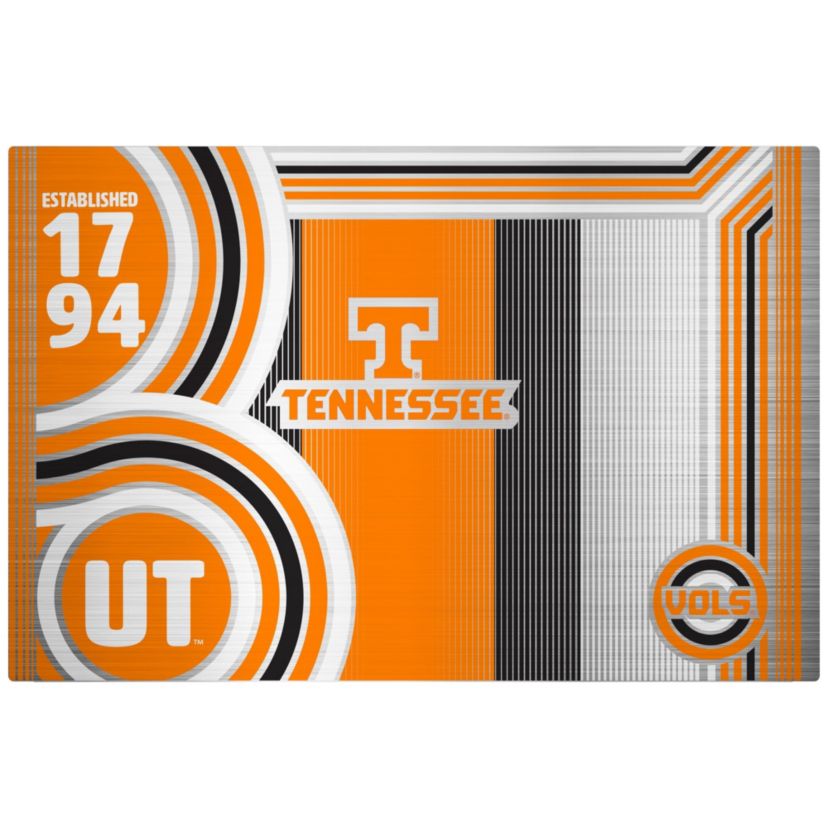 NCAA Tennessee Volunteers 24oz Stainless Steel Water Bottle