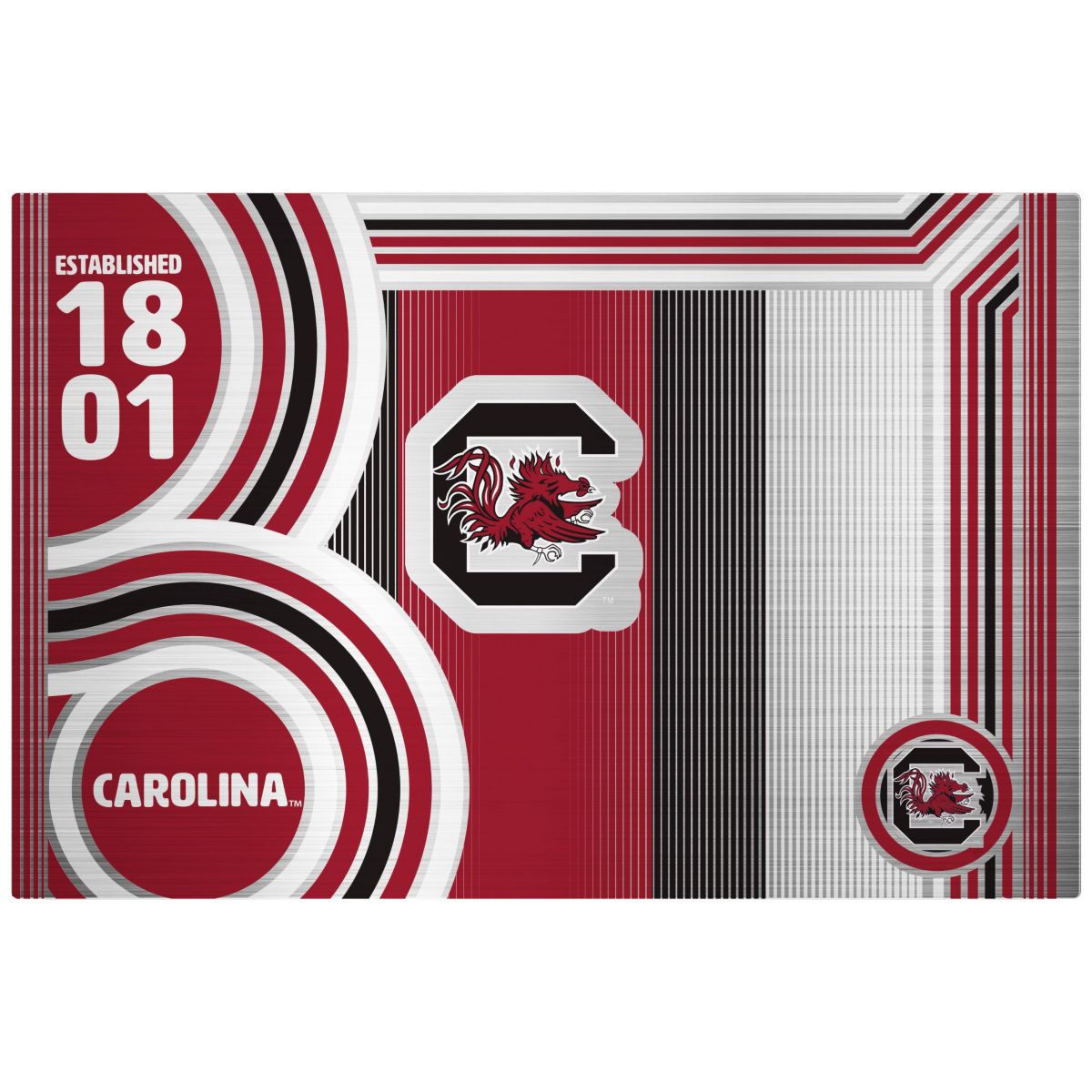 NCAA South Carolina Gamecocks 24oz Stainless Steel Water Bottle