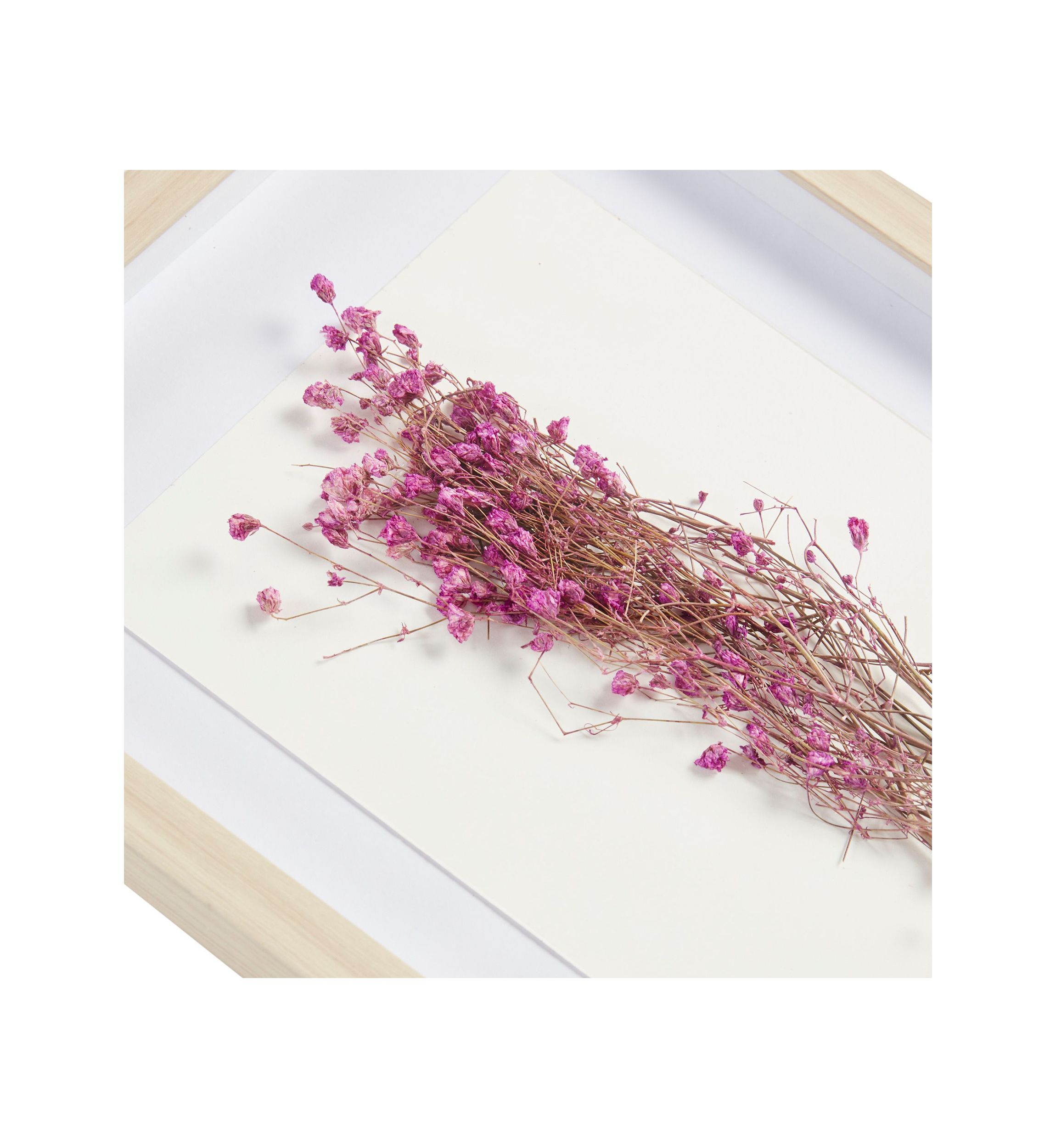 Avant Garden Dried Flower 2-piece Shadow Box Wall Decor Set