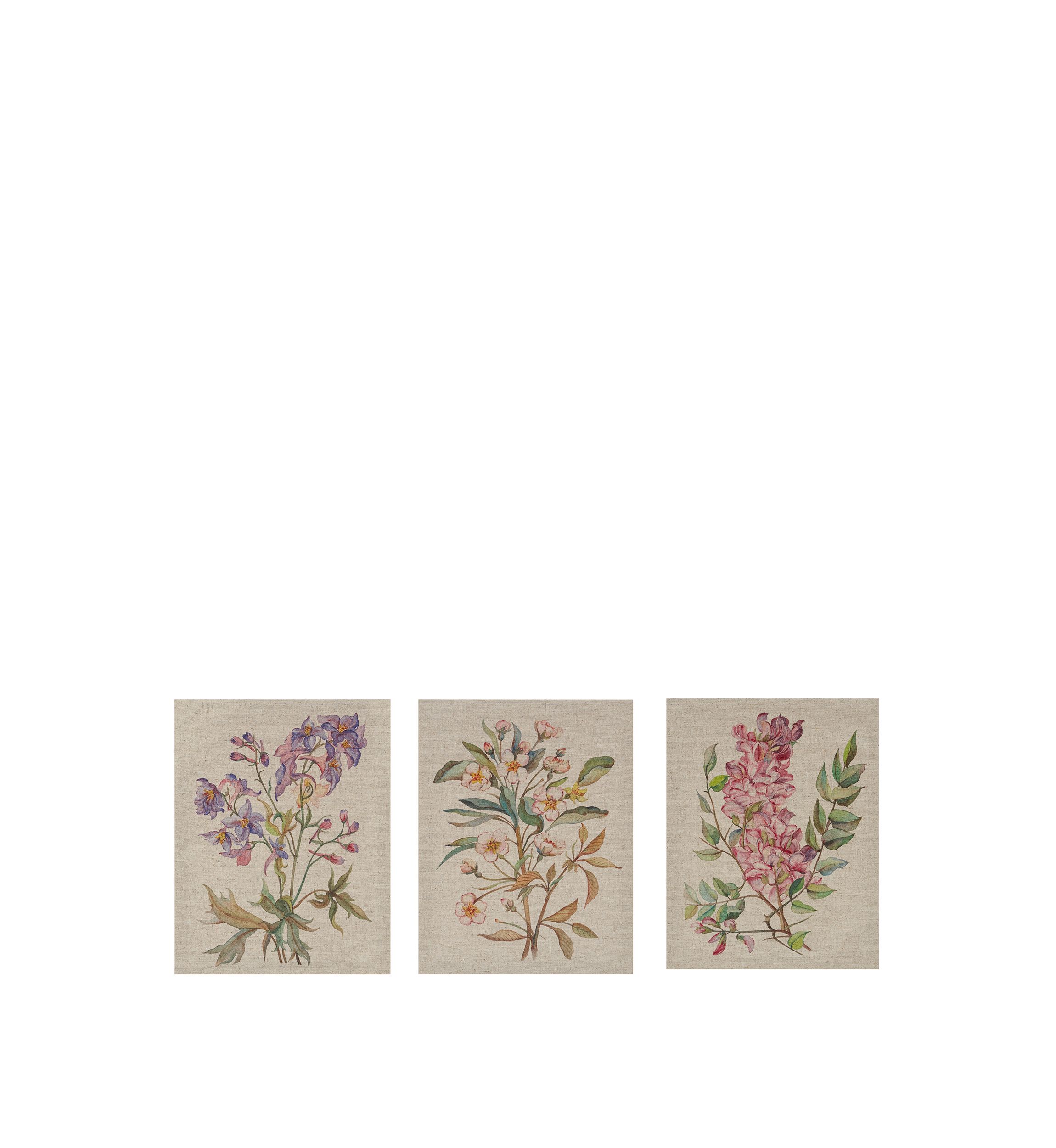 Linen Botanicals Canvas Set 