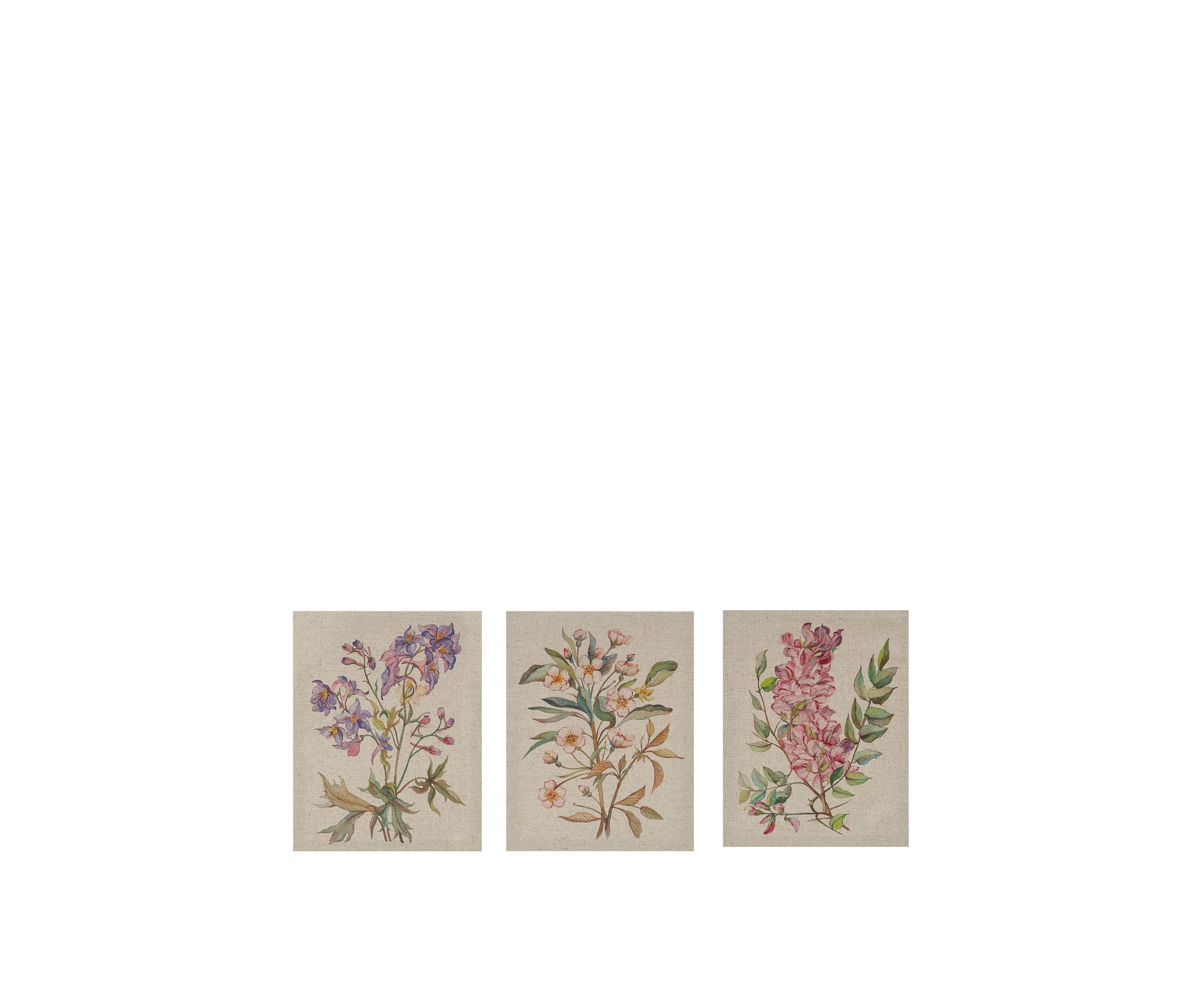 Linen Botanicals Canvas Set 