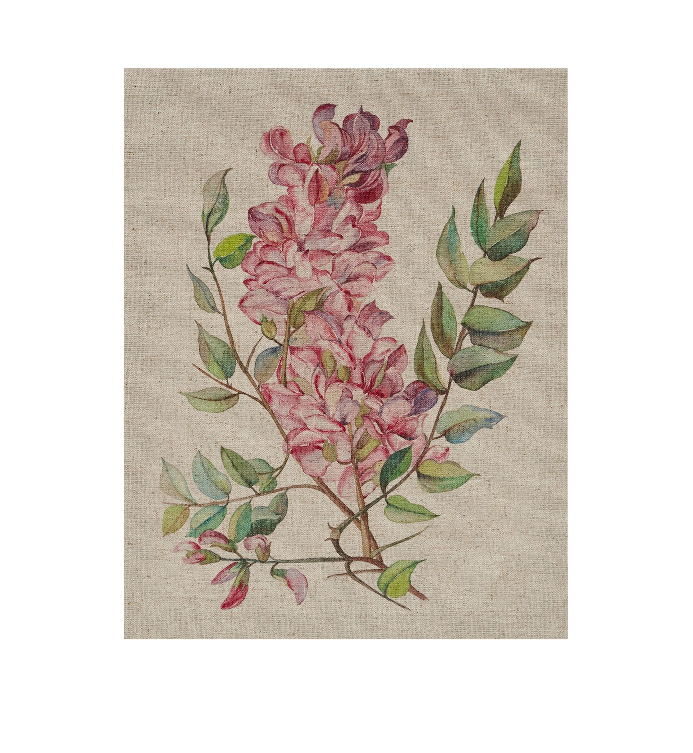 Linen Botanicals Canvas Set 