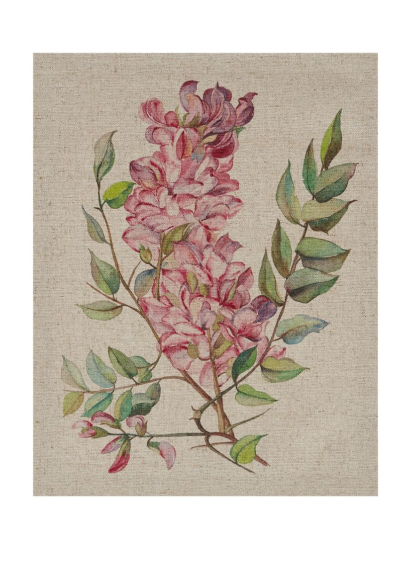Linen Botanicals Canvas Set 