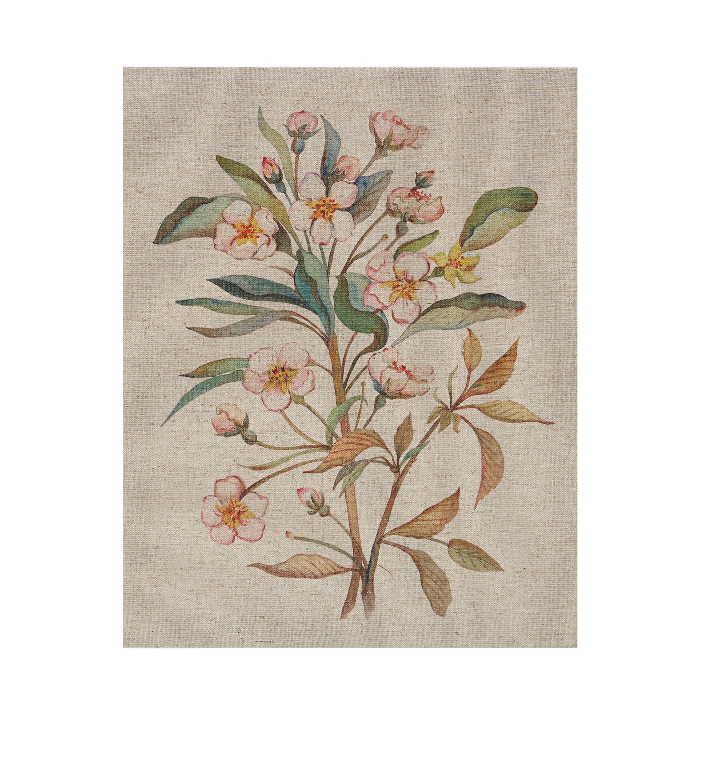 Linen Botanicals Canvas Set 