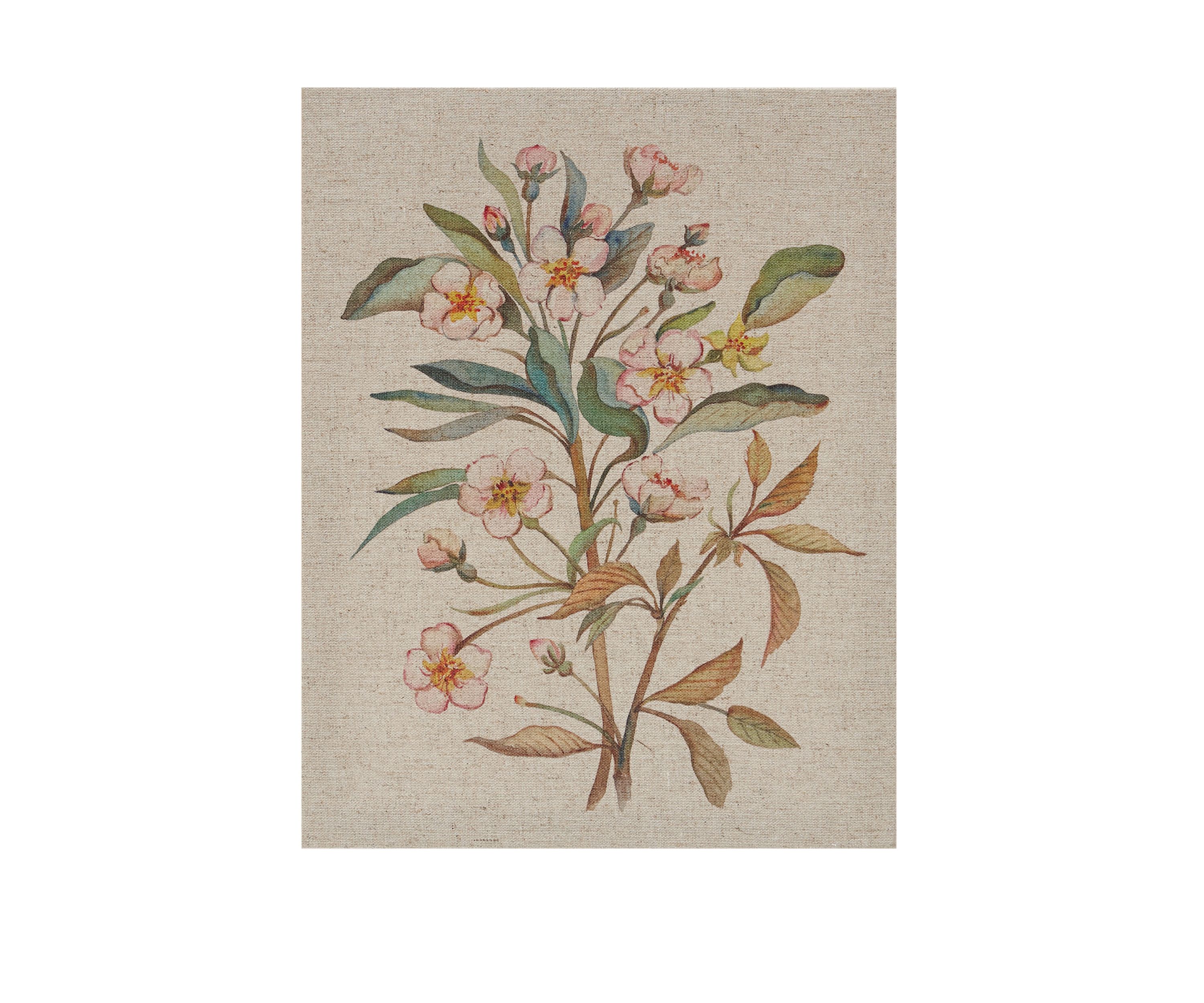 Linen Botanicals Canvas Set 