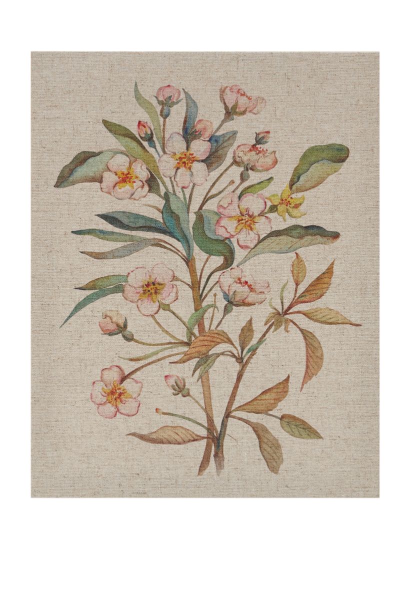 Linen Botanicals Canvas Set 