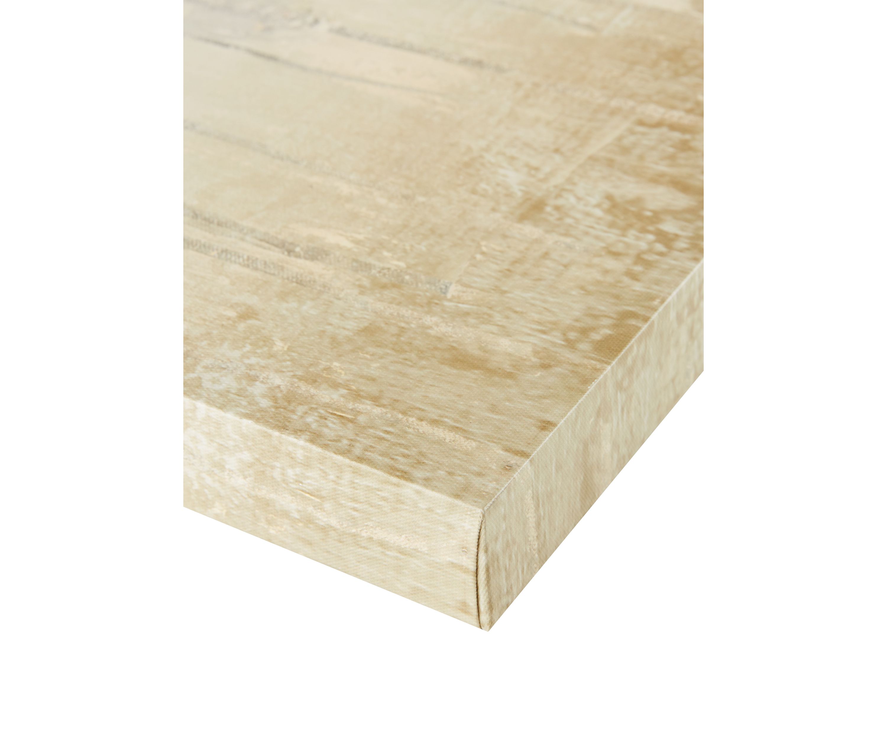 Sandy Forest Canvas Art