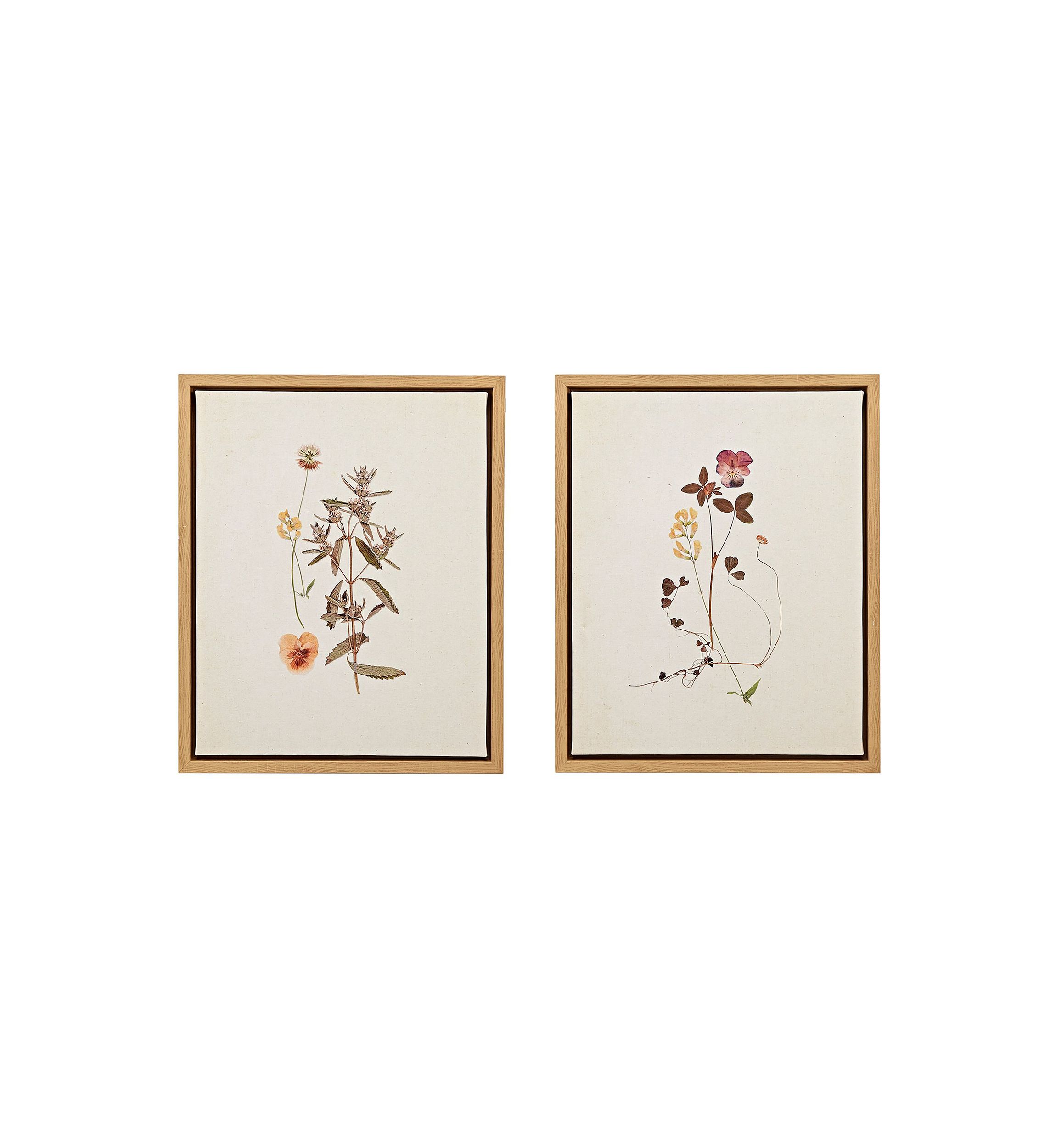French Herbarium 2-piece Framed Canvas Wall Art Set