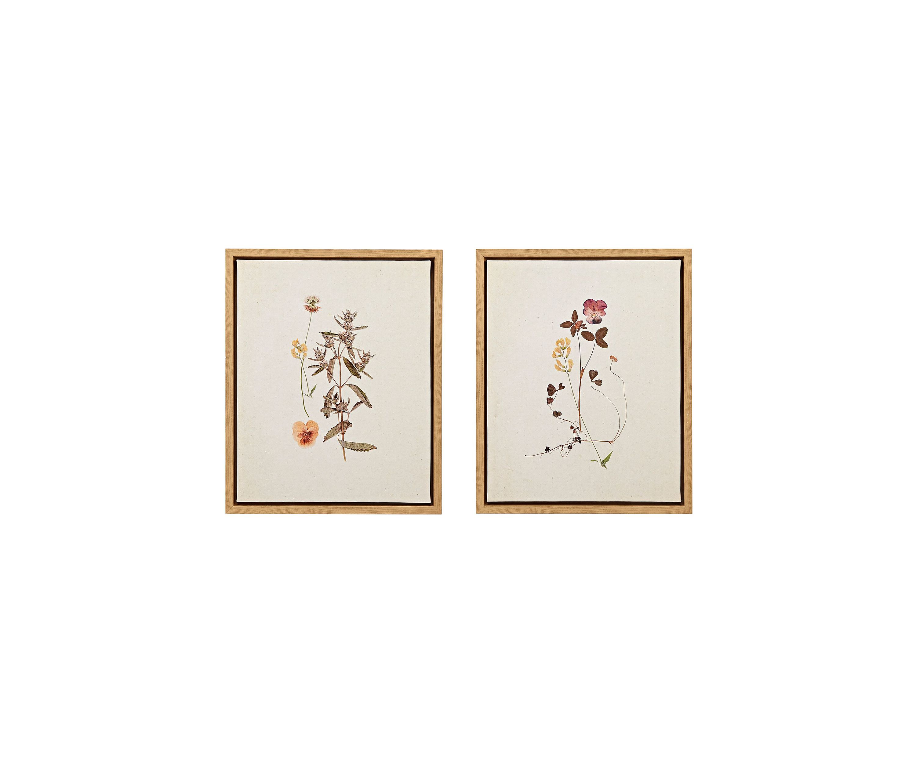 French Herbarium 2-piece Framed Canvas Wall Art Set