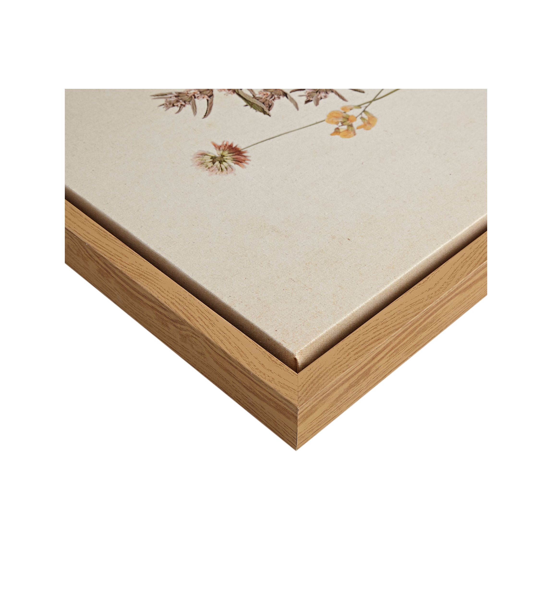French Herbarium 2-piece Framed Canvas Wall Art Set