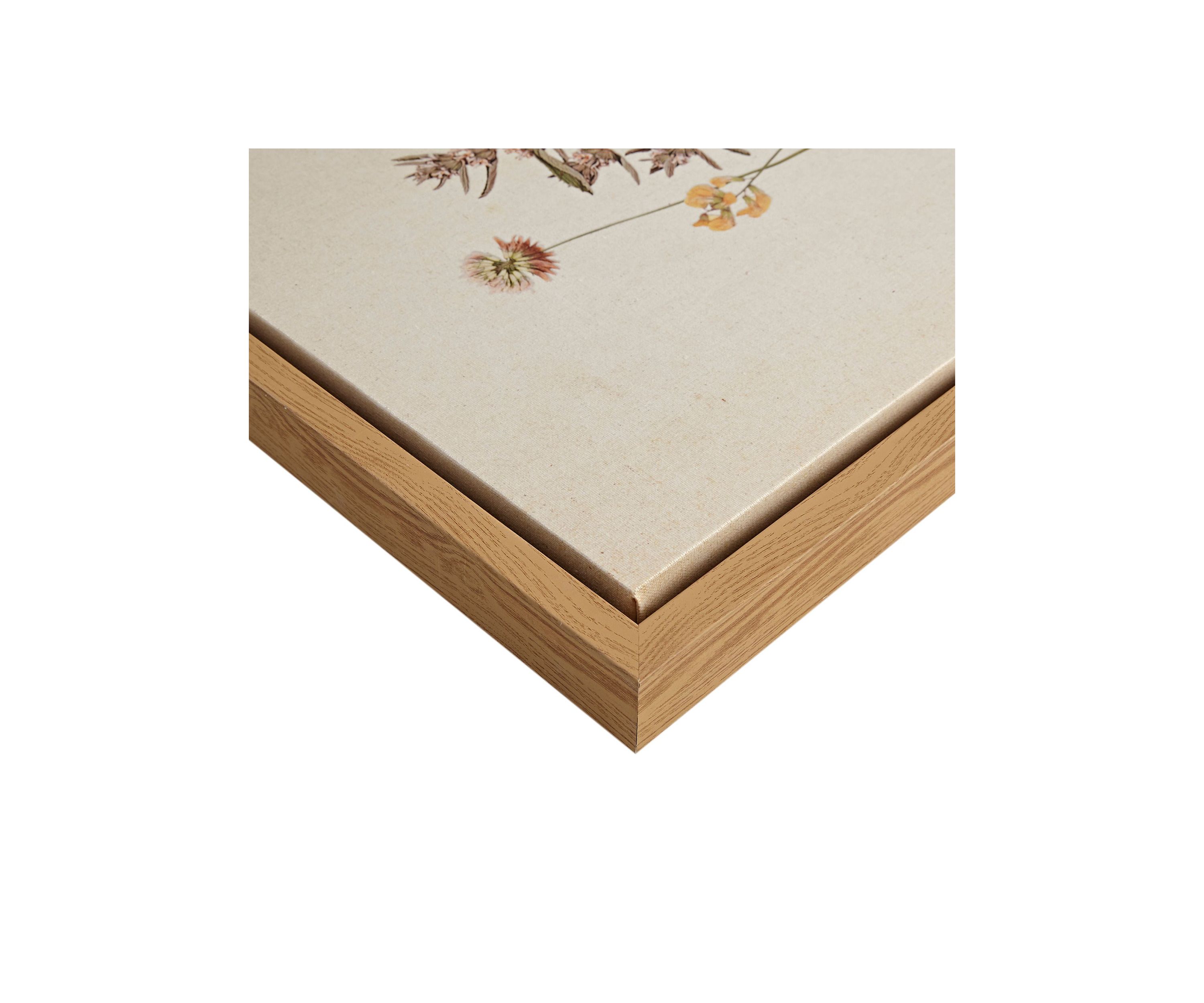 French Herbarium 2-piece Framed Canvas Wall Art Set