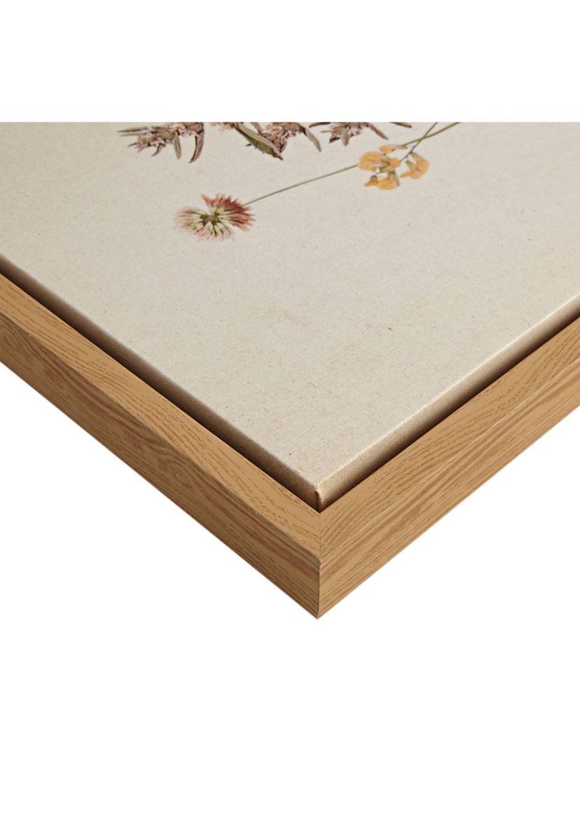 French Herbarium 2-piece Framed Canvas Wall Art Set