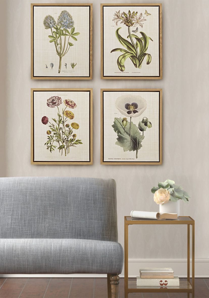 Herbal Botany 4-piece Botanical Illustration Framed Canvas Wall Art Set
