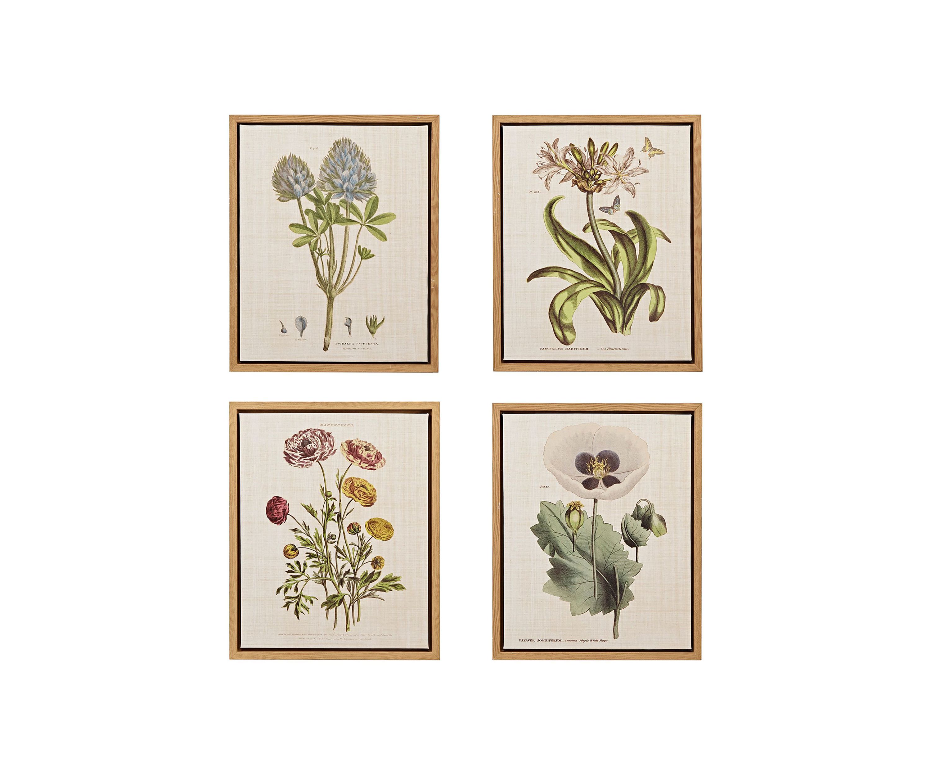 Herbal Botany 4-piece Botanical Illustration Framed Canvas Wall Art Set
