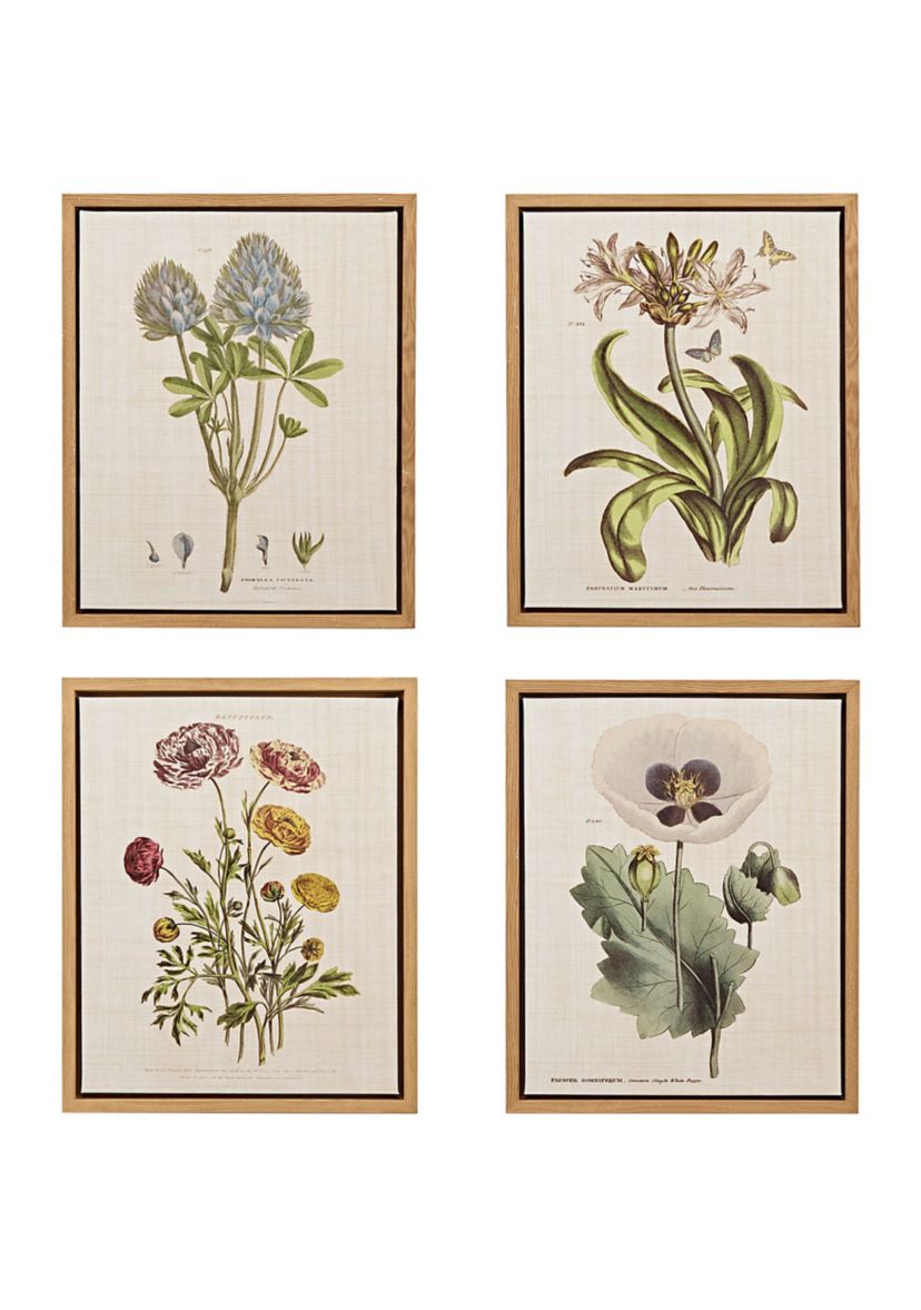Herbal Botany 4-piece Botanical Illustration Framed Canvas Wall Art Set