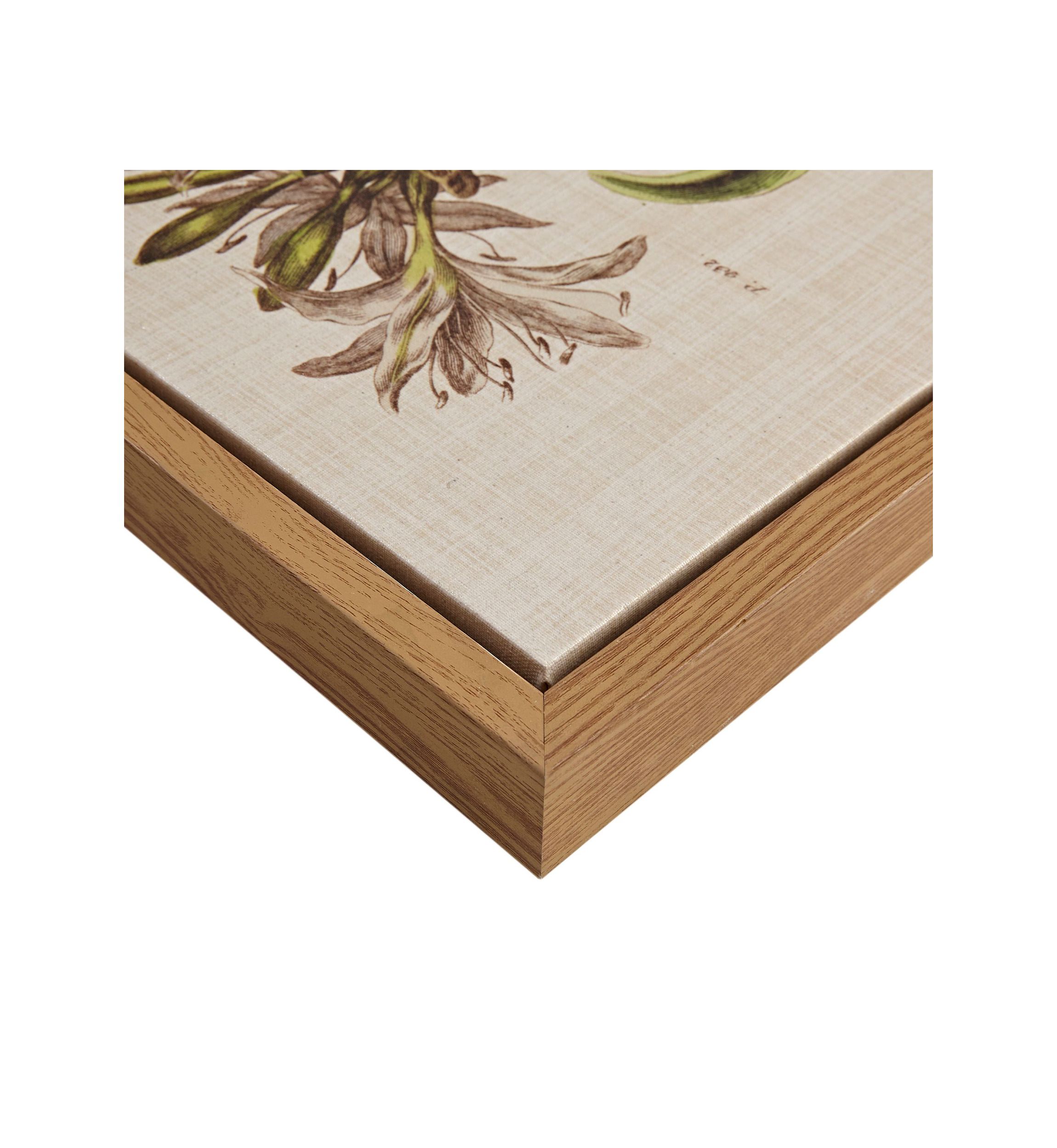 Herbal Botany 4-piece Botanical Illustration Framed Canvas Wall Art Set