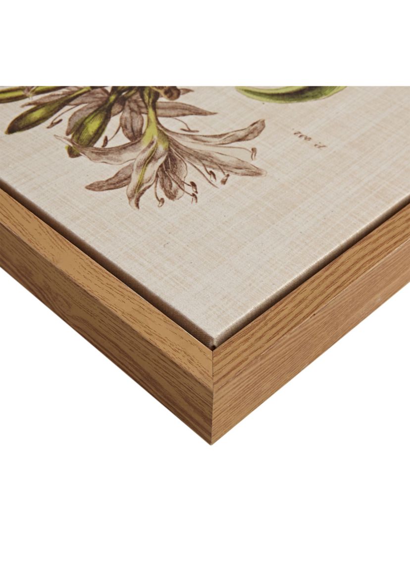 Herbal Botany 4-piece Botanical Illustration Framed Canvas Wall Art Set