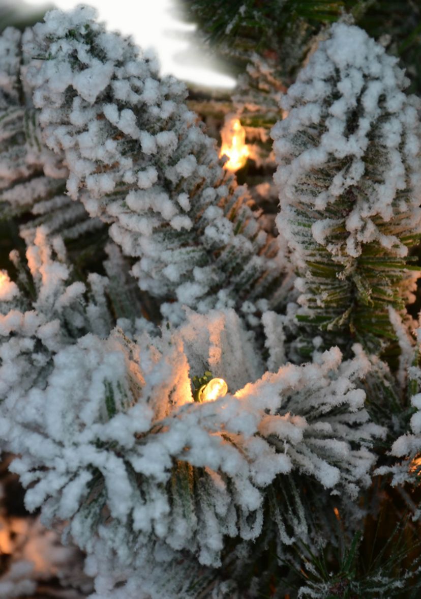 Pre-lit Flocked Virginia Pine Tree