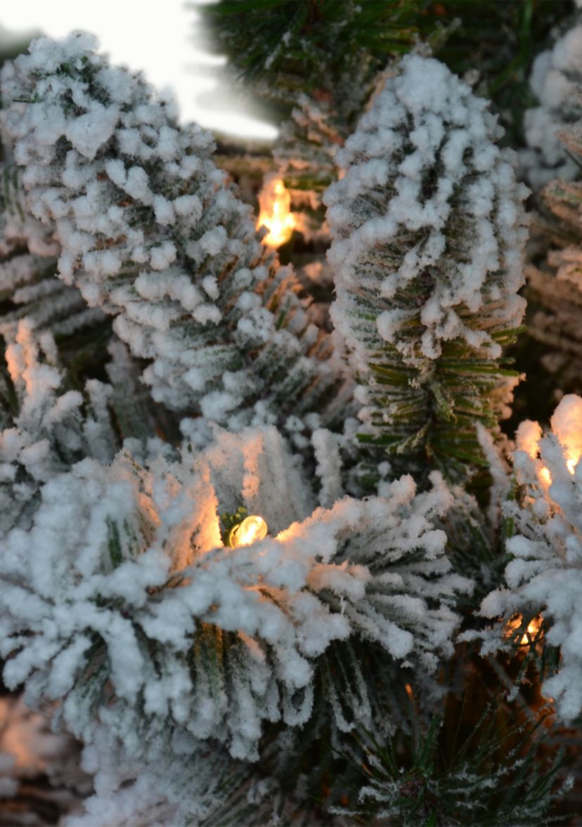 Pre-Lit 6-Foot Flocked Vermont Pine Christmas