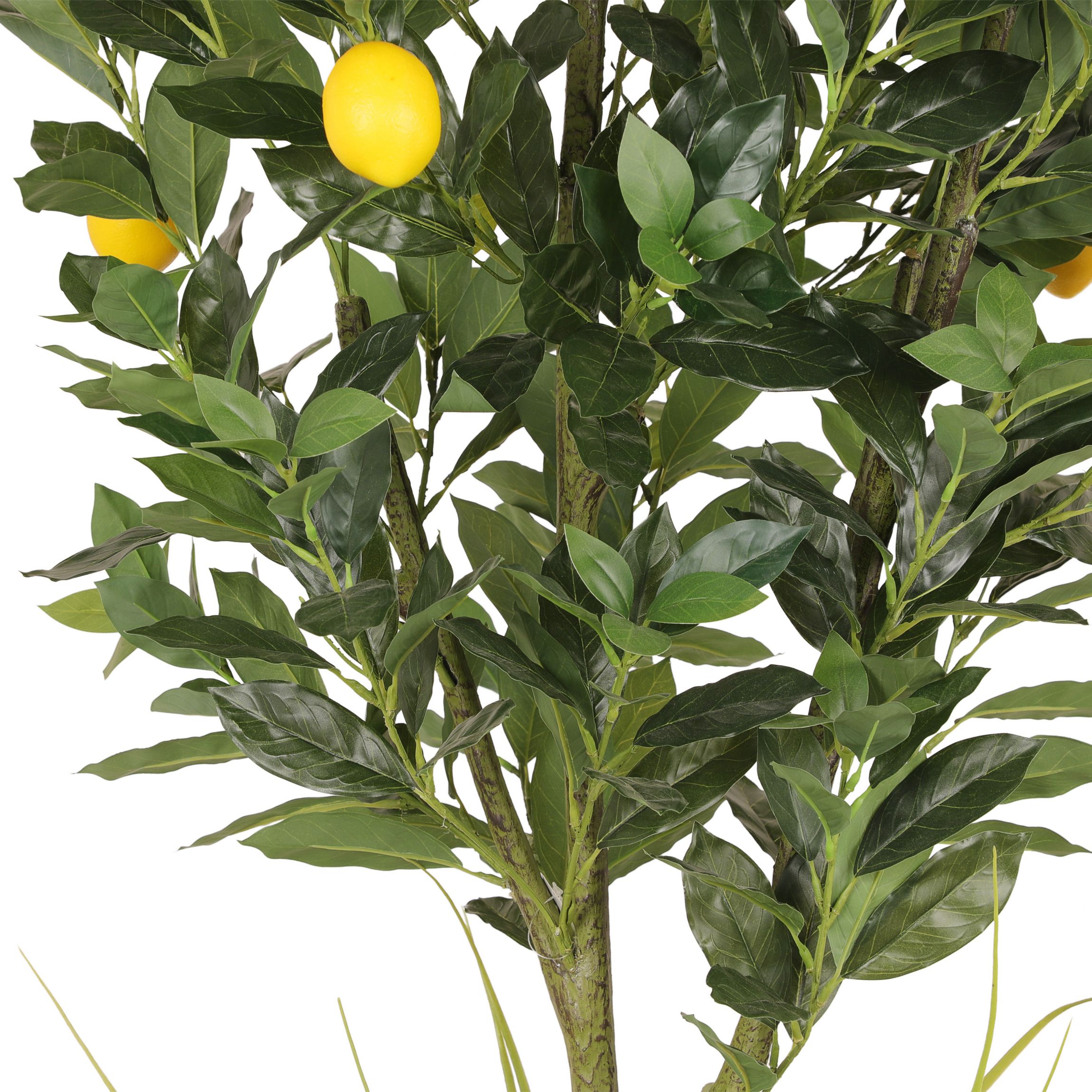 6ft Artificial Lemon Tree