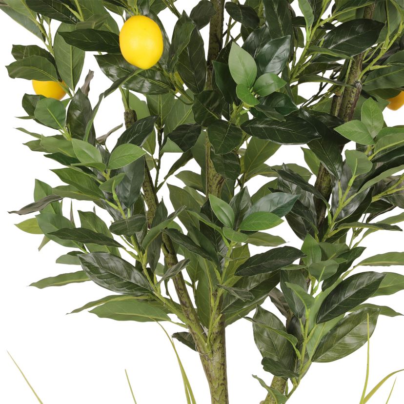 6ft Artificial Lemon Tree