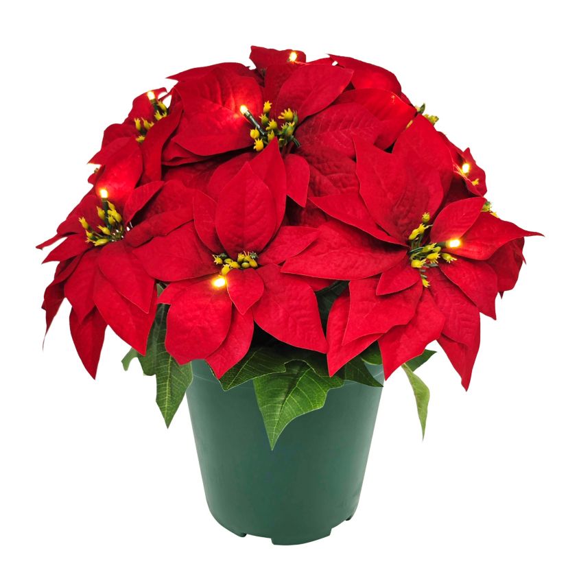 Puleo International 22" Pre-Lit Battery-Operated Artificial Potted Red Poinsettias