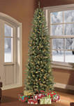 Pre-Lit Franklin Fir Christmas Tree